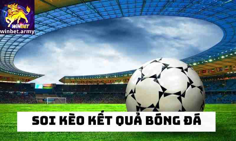 Giới thiệu về soi kèo bóng đá tại winbet