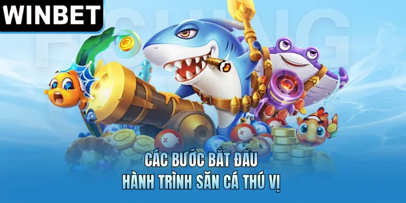 Các bước bắt đầu hành trình săn cá thú vị