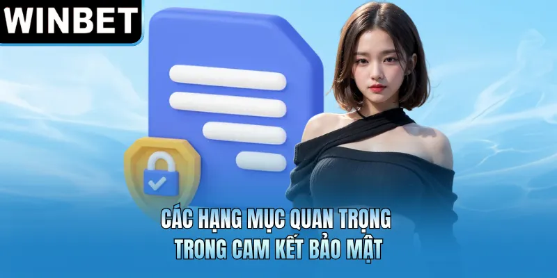 Các hạng mục quan trọng trong cam kết bảo mật